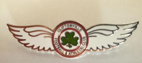 Wings badge